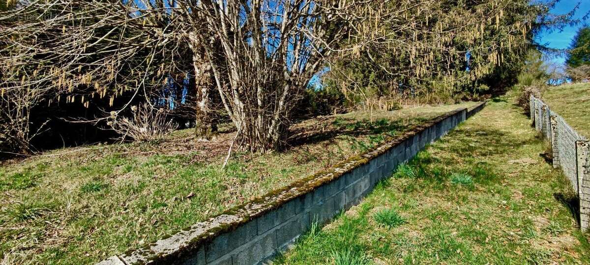 Photo 4 - Maison à EGLETONS