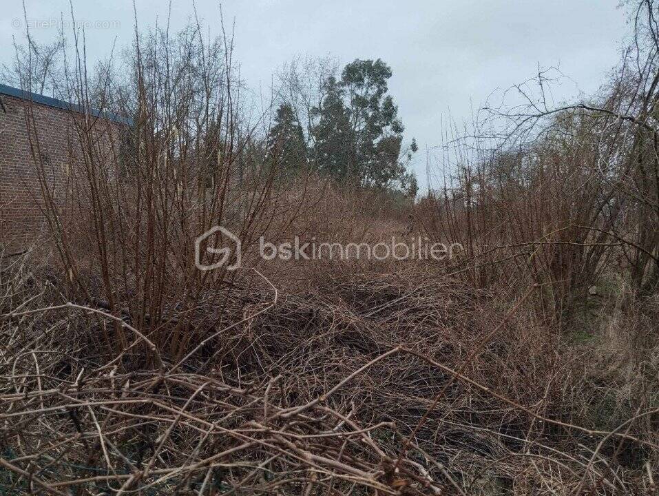 Terrain à BEUVRAIGNES