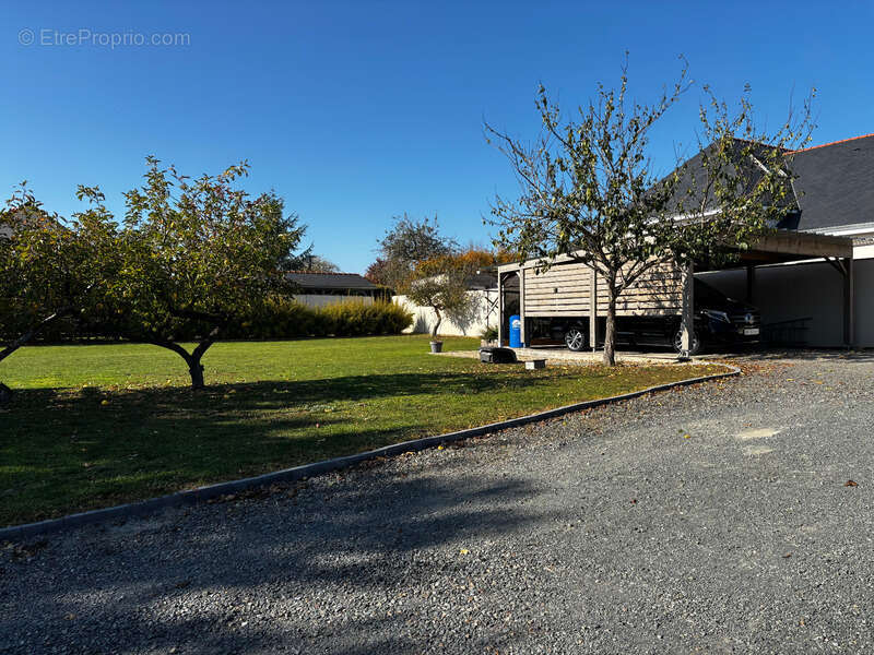 12 min saumur sud longere entierement renovee + studio independant sur environ 1500m2 arbore clos - photo 17