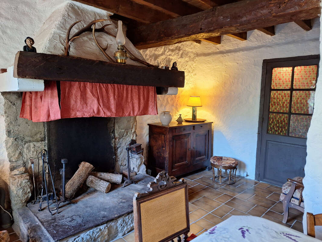 Grande maison de village en pierre avec jardin et dépendances - photo 38