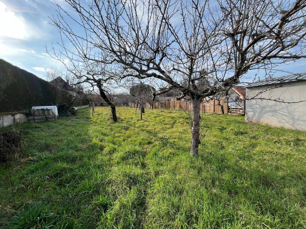 Terrain à LA FEUILLADE