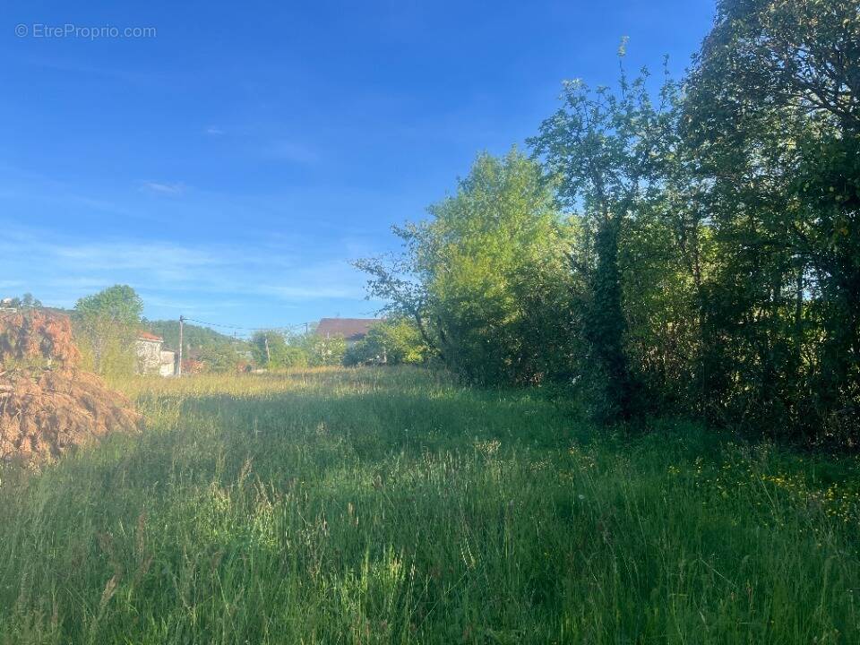 Terrain à ALBI