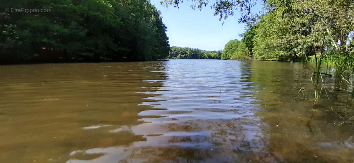 Terrain à PLOMBIERES-LES-BAINS