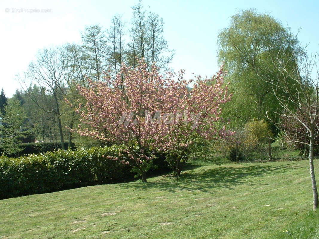 Terrain 1000 m² à Gif-Sur-Yvette  - photo 3