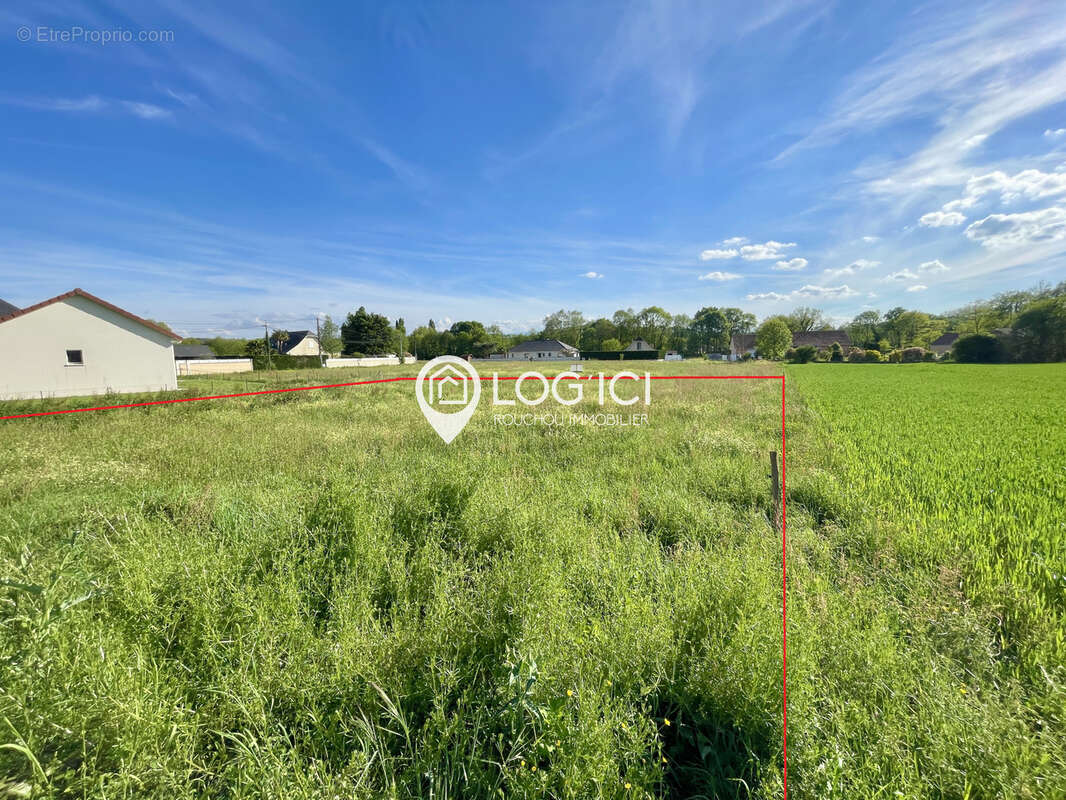Terrain à ARTIGUELOUTAN