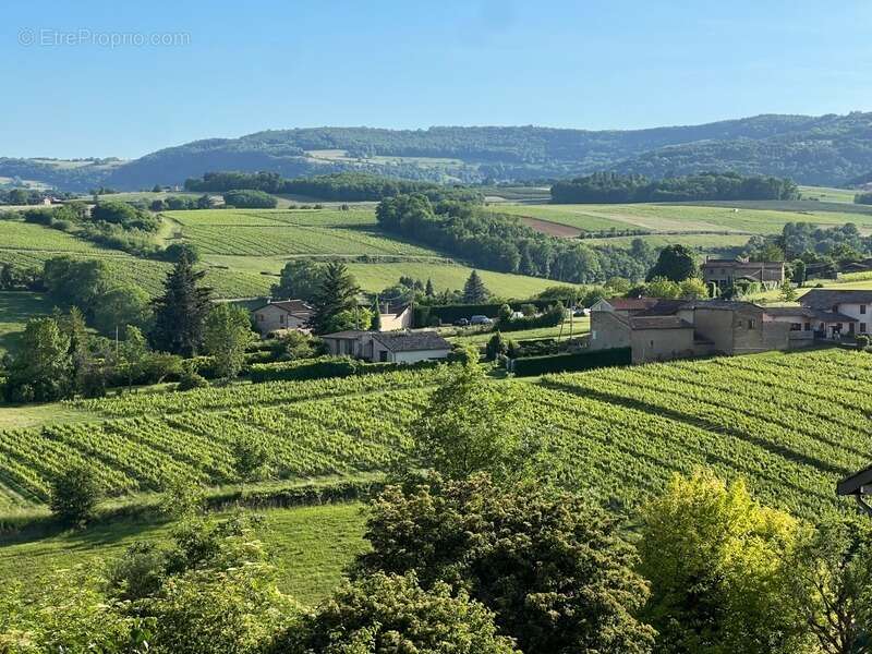 Maison à VILLEFRANCHE-SUR-SAONE
