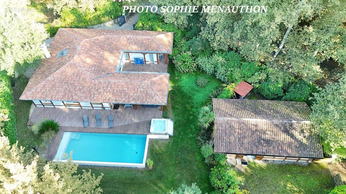 Entre Forêt Landaise et Art de Vivre  Ensemble de deux maisons sur 1638 m² de terrain boisé. - photo 22
