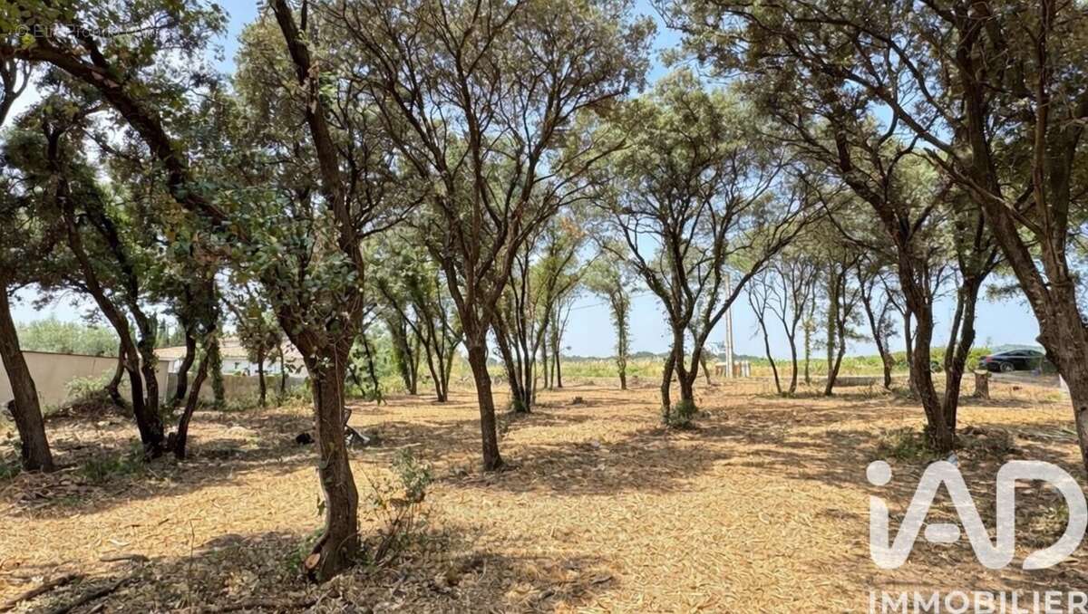 Photo 5 - Terrain à BEDARRIDES