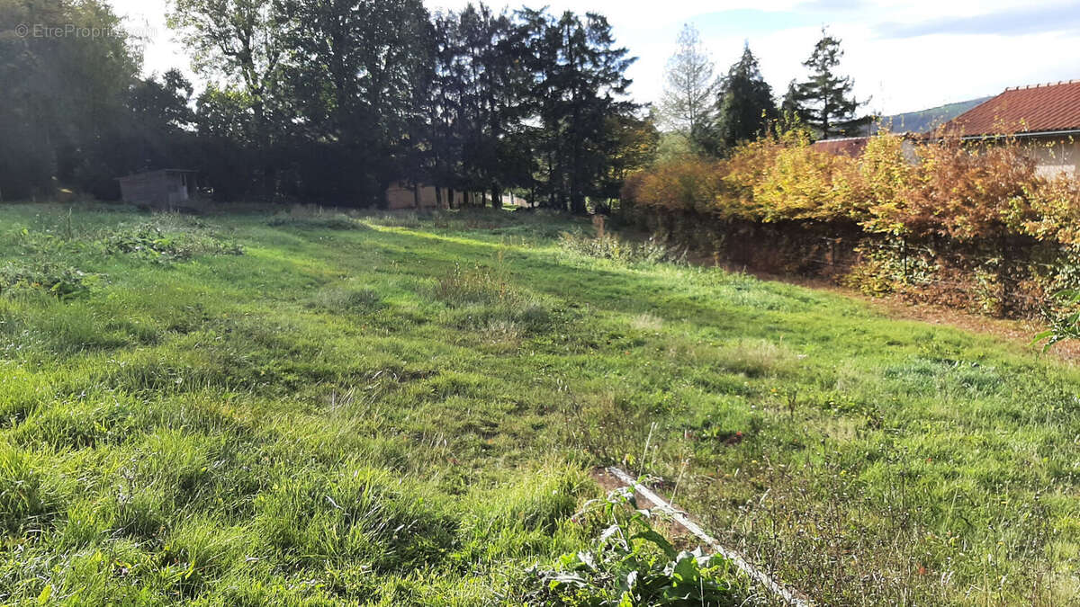 Maison à SAINT-JULIEN-CHAPTEUIL