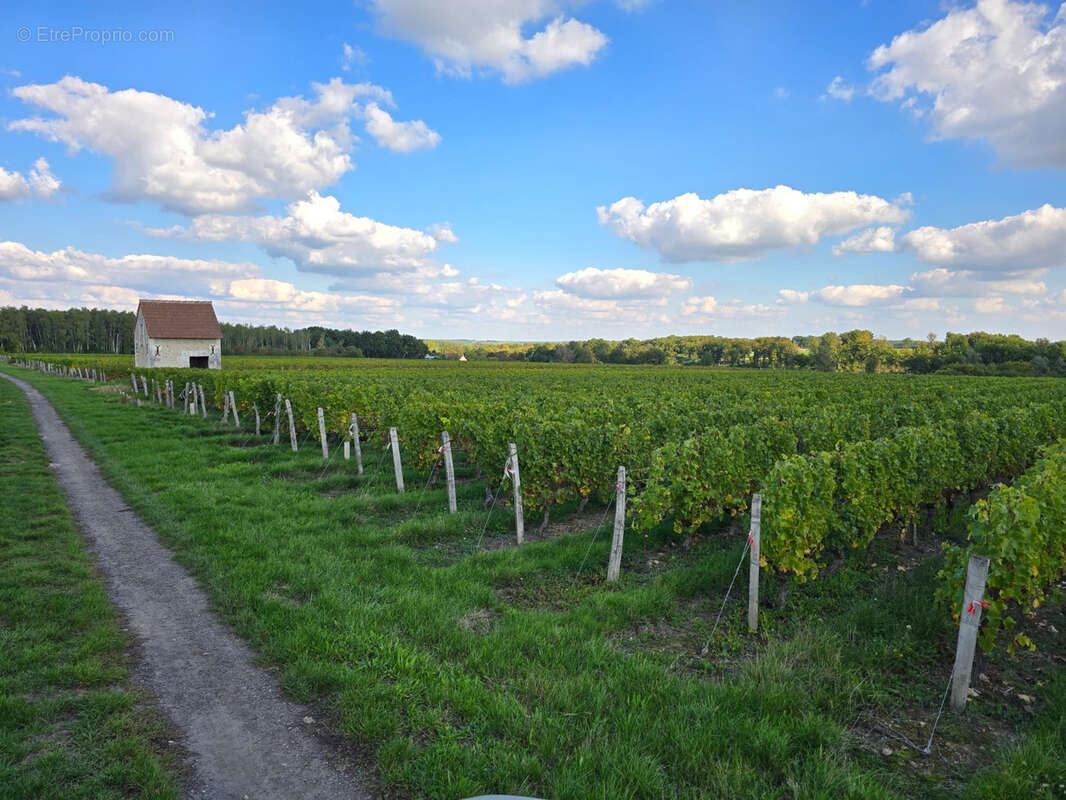 Terrain à FONTGUENAND