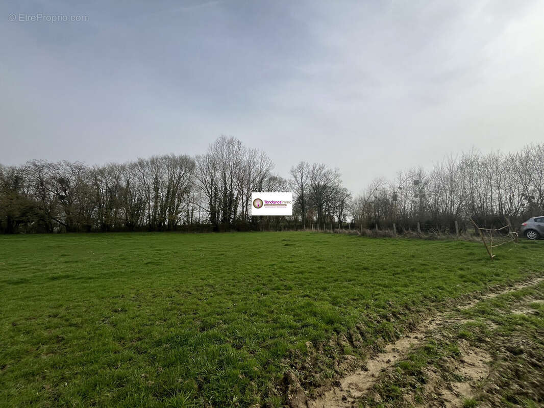 Terrain à SAINTE-SCOLASSE-SUR-SARTHE
