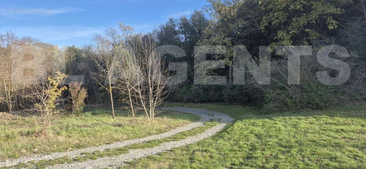 20251128_150035 - Terrain à VILLAR-SAINT-ANSELME