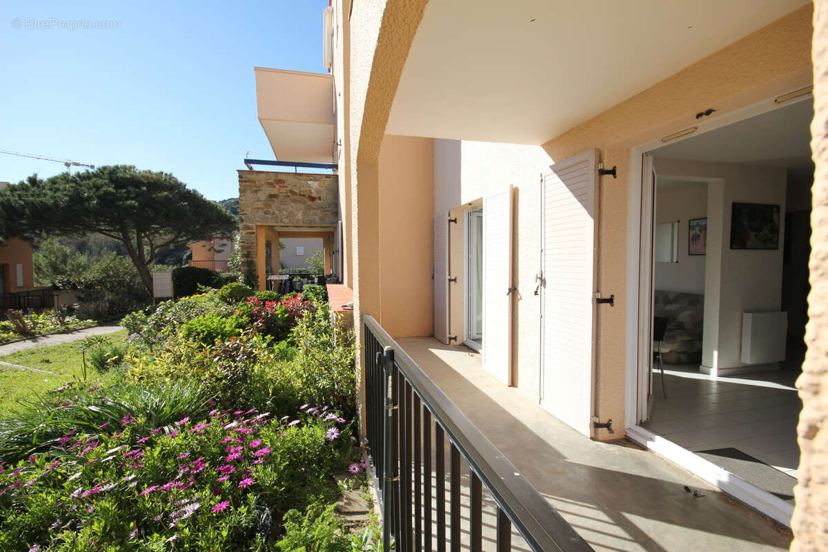 Appartement à COLLIOURE