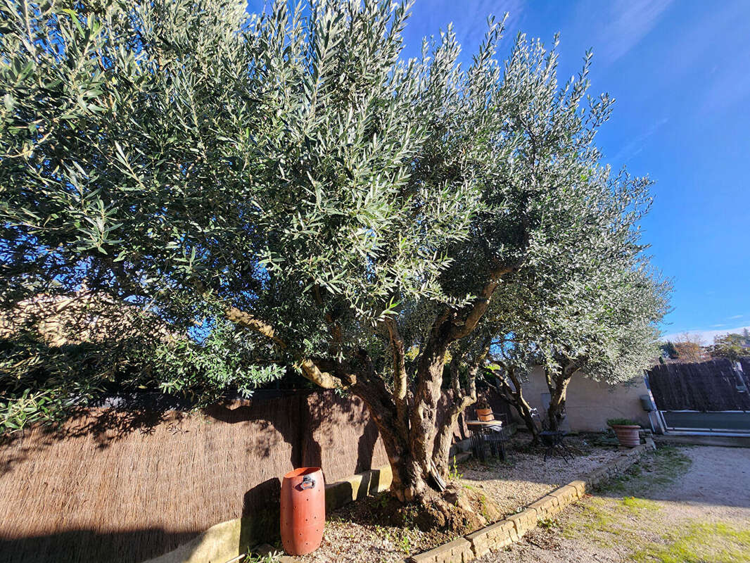 Maison à PERNES-LES-FONTAINES