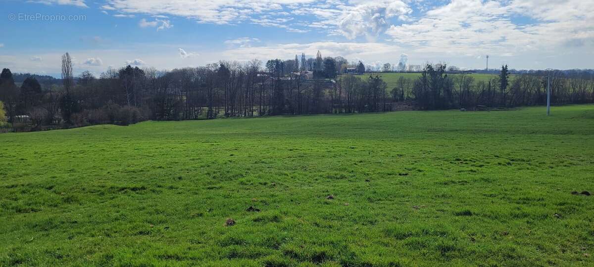 Terrain à BRIN-SUR-SEILLE