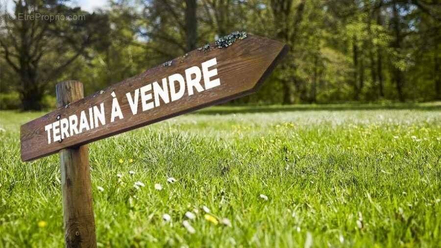 Terrain à JAULNES