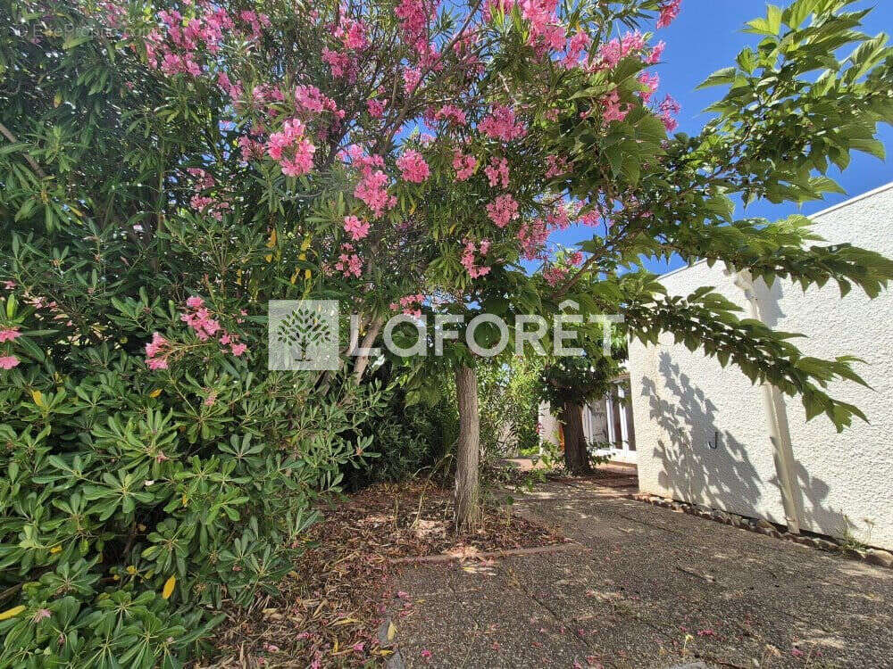 Maison individuelle Le Barcarès 4 pièces - 82 m2 - 300 m de la plage - photo 2