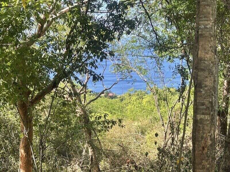 Terrain à BOUILLANTE