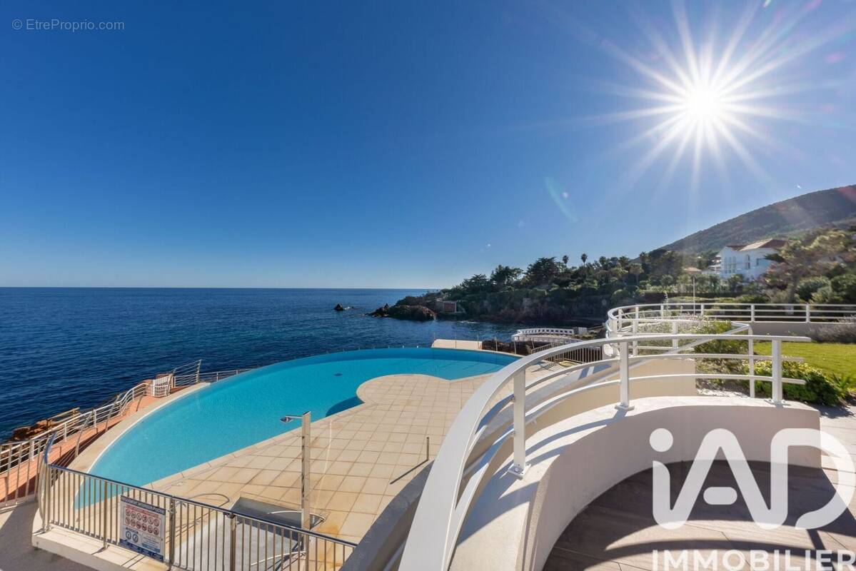 Photo 1 - Appartement à LA SEYNE-SUR-MER