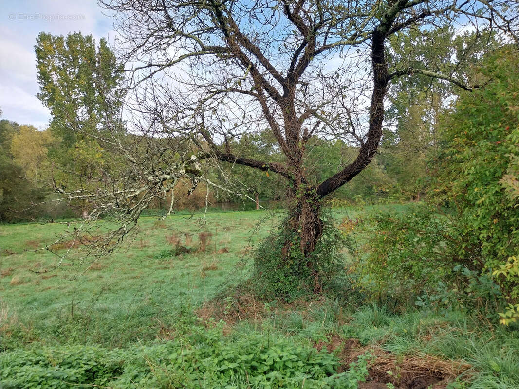 Terrain à EXIDEUIL