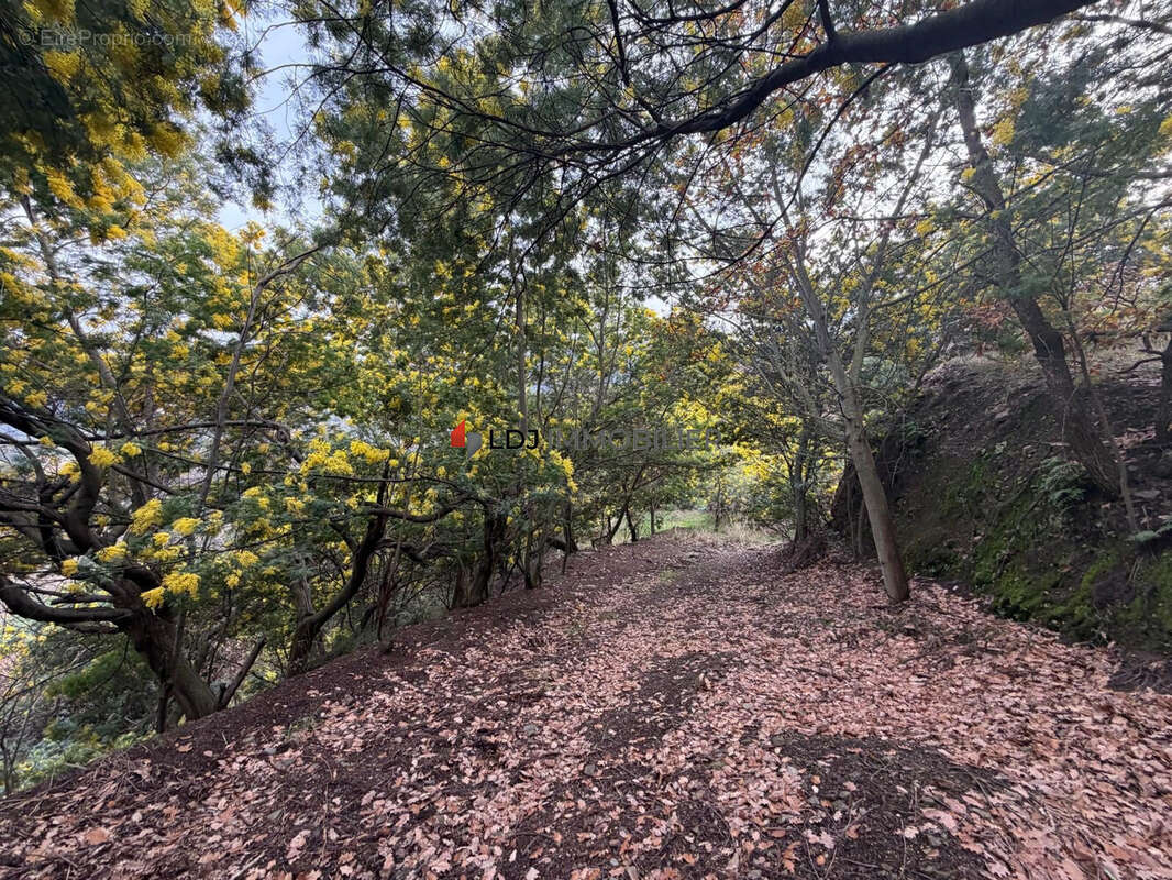 Terrain à CERET