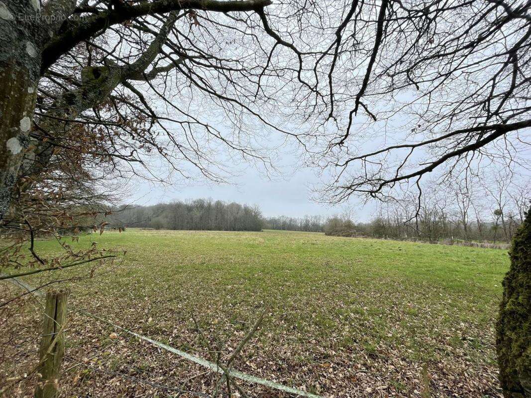 Maison à BELLOU-LE-TRICHARD