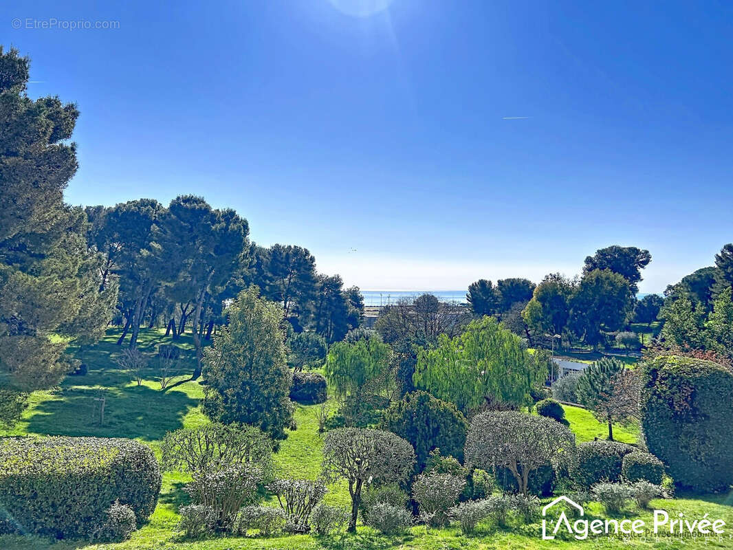 Salle de bains Parquet - Appartement à CAGNES-SUR-MER