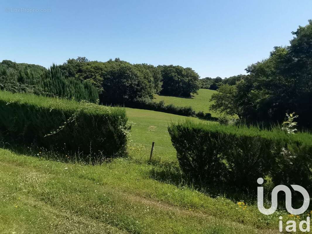 Photo 9 - Maison à LE PONT-CHRETIEN-CHABENET