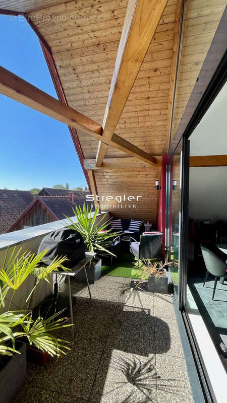 Appartement à HERBSHEIM