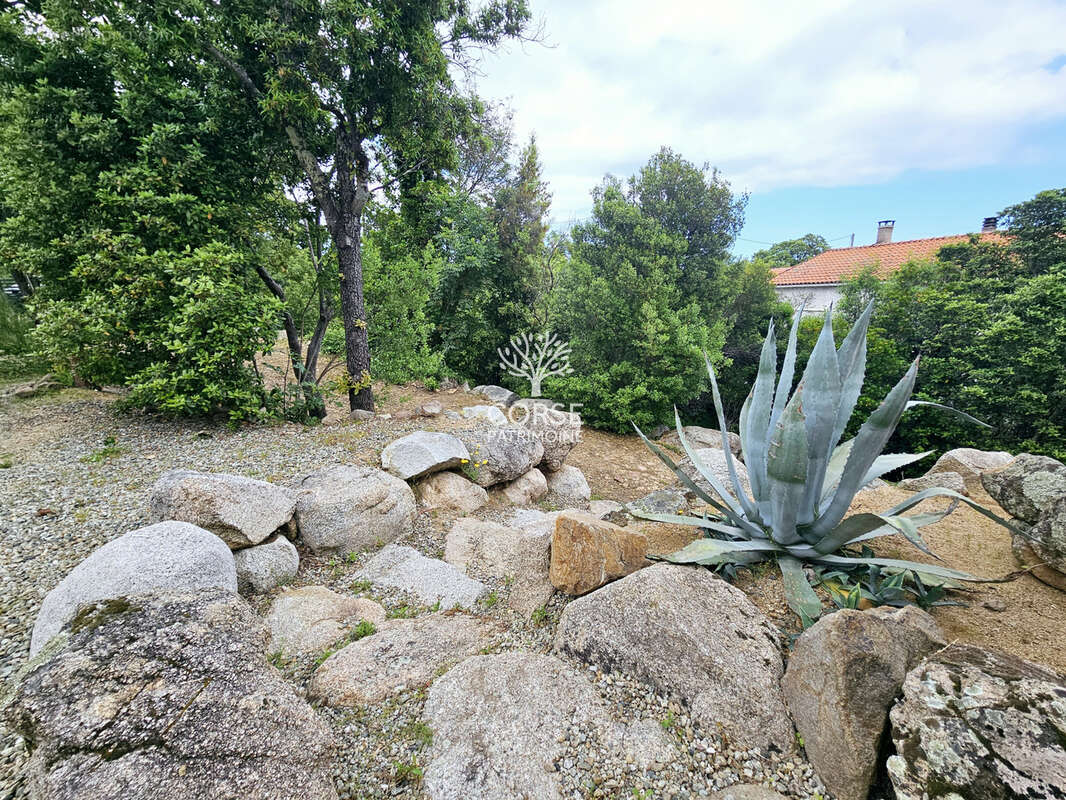 Maison à SOLARO