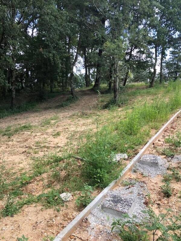 Photo 1 - Terrain à BOULIAC