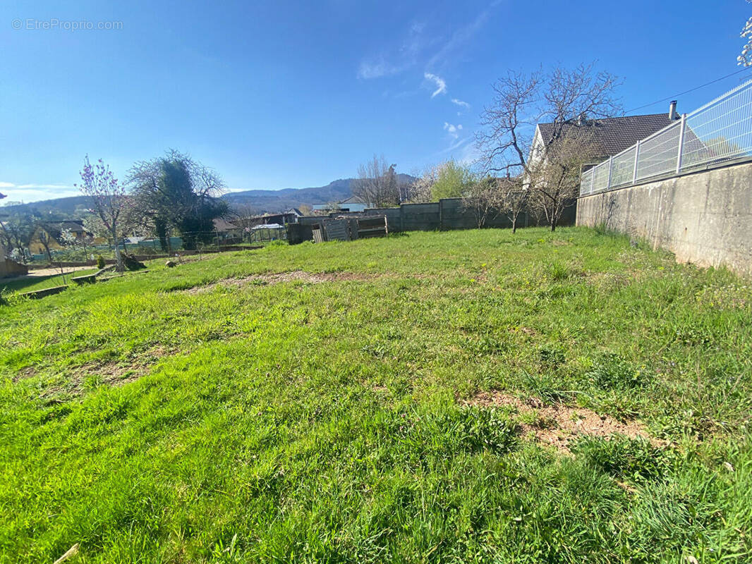 Terrain à LEIMBACH
