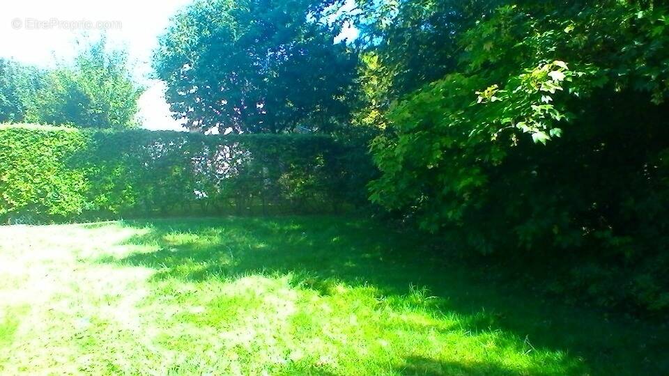 Terrain à CHAMPDEUIL