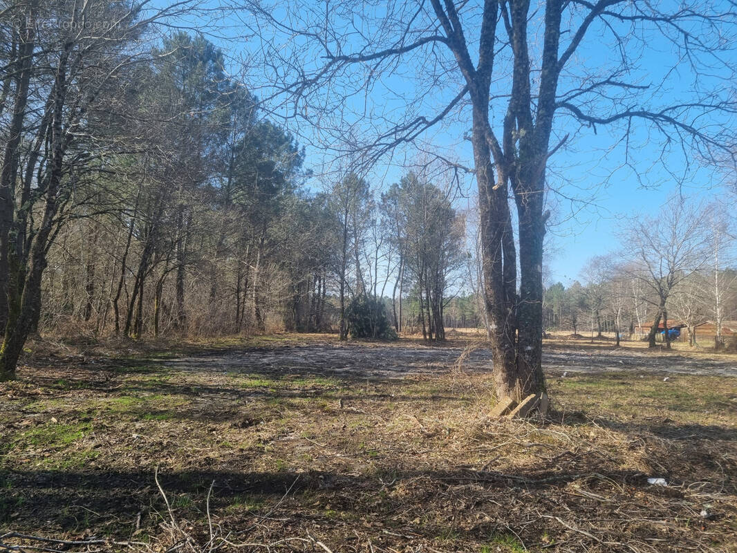 Terrain à BAZAS