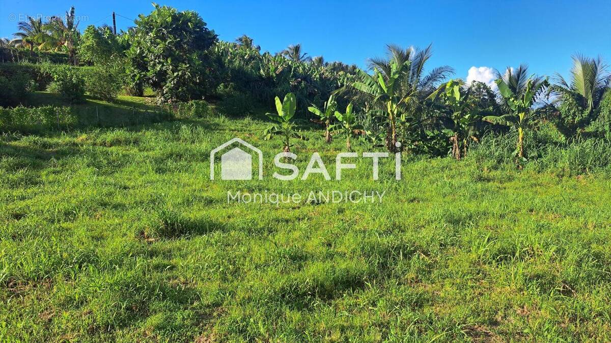 Photo 1 - Terrain à LE LORRAIN