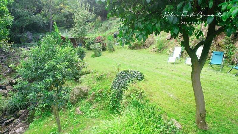 Appartement à OLETTA