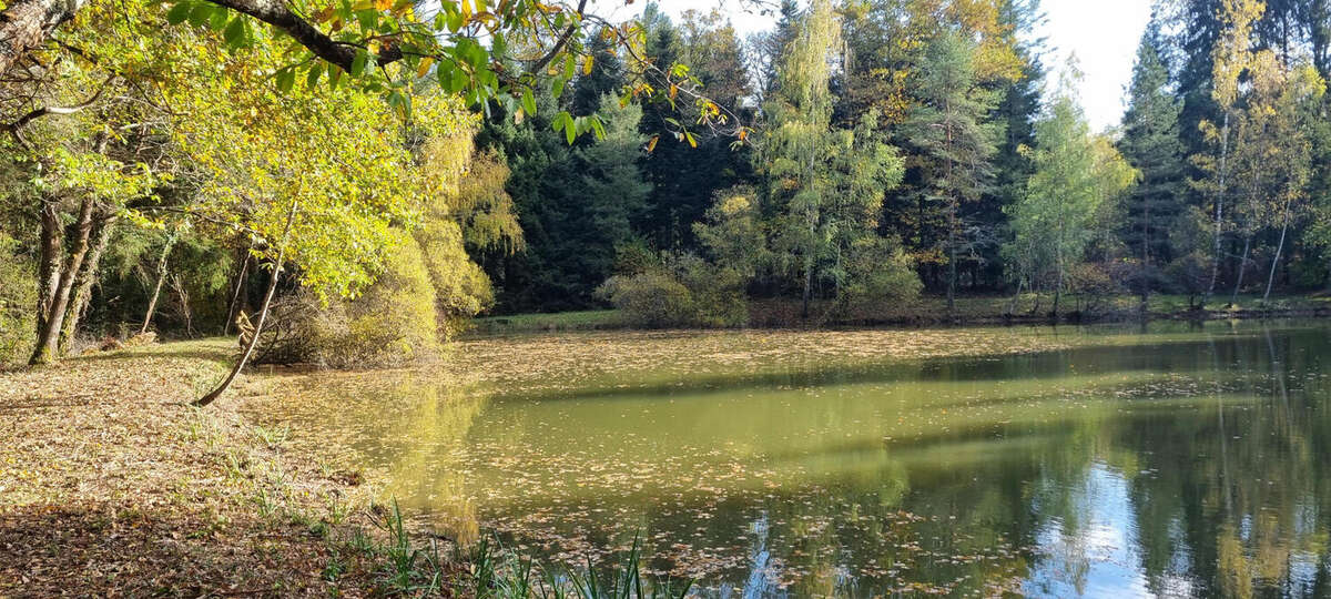 20251105_142244 - Terrain à PIEGUT-PLUVIERS