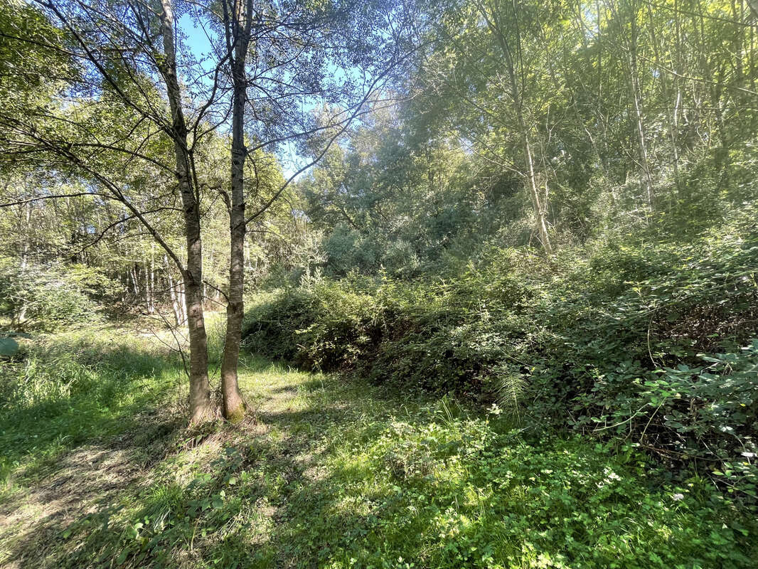 Maison à MAZEROLLES