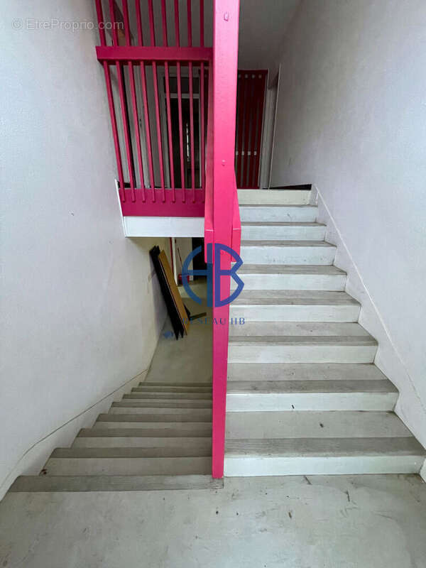 Maison 270m² à fort potentiel au coeur de La Tour-du-Pin - photo 4