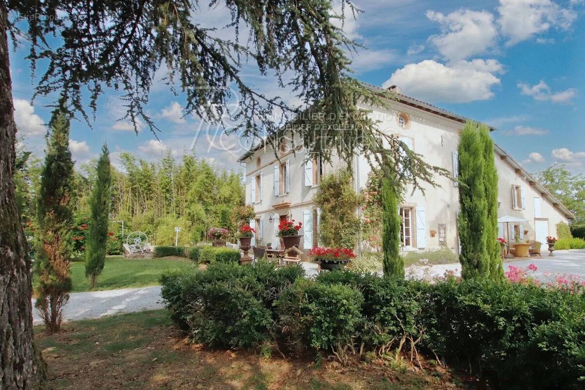 Maison à LISLE-SUR-TARN