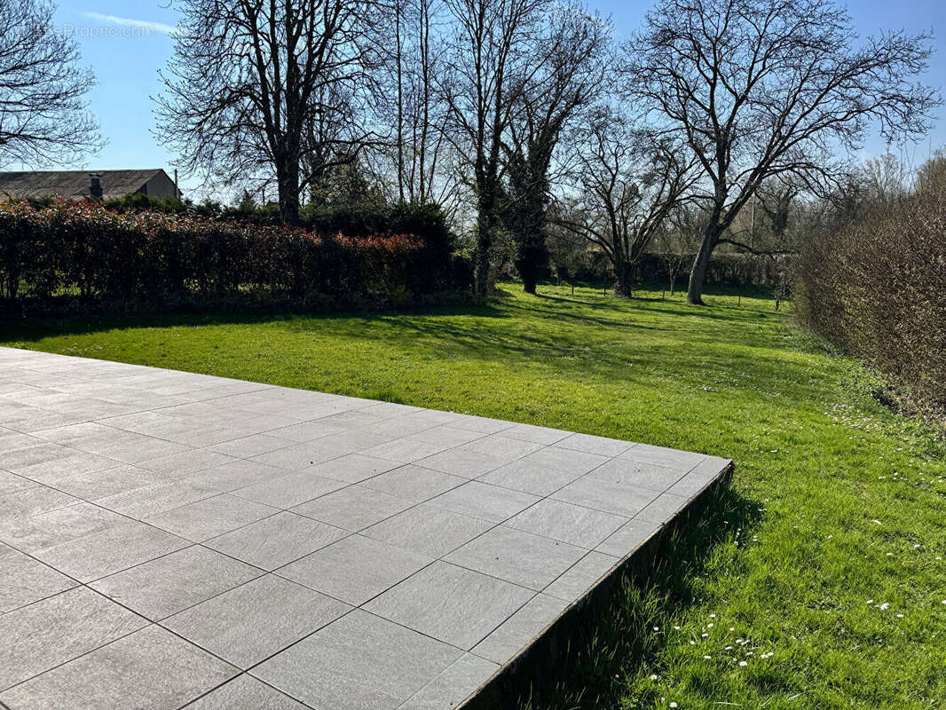 Semi Plain Pied individuel sur 1385 m² de 5 chambres à SEBOURG - photo 3