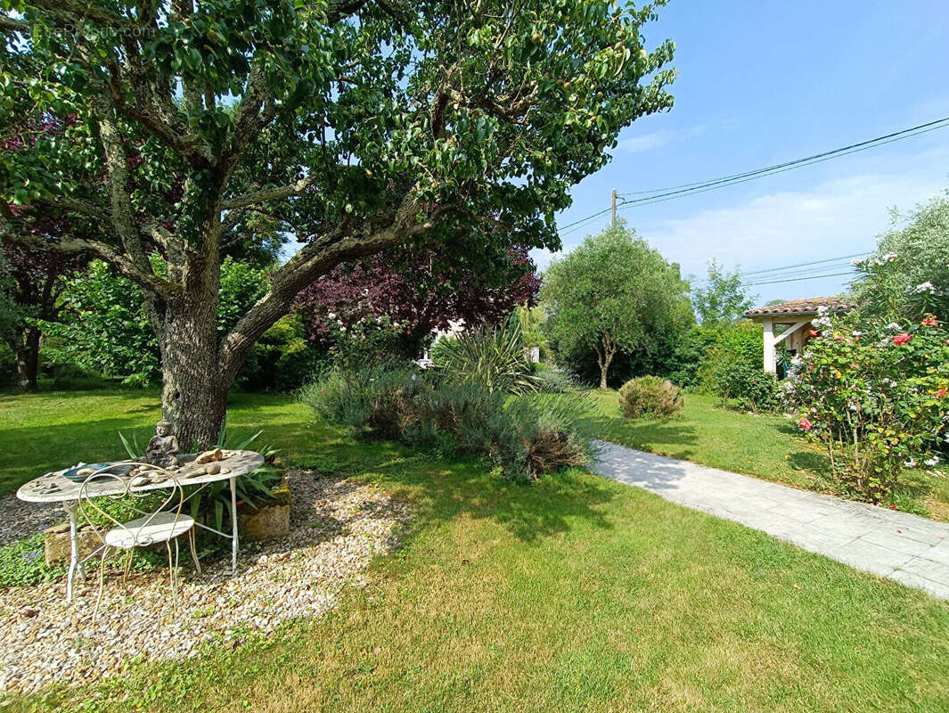 Maison à SAINTE-SEVERE