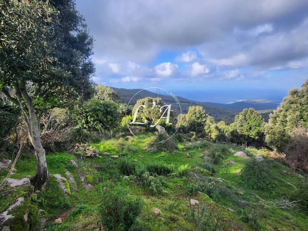 Terrain à COTI-CHIAVARI