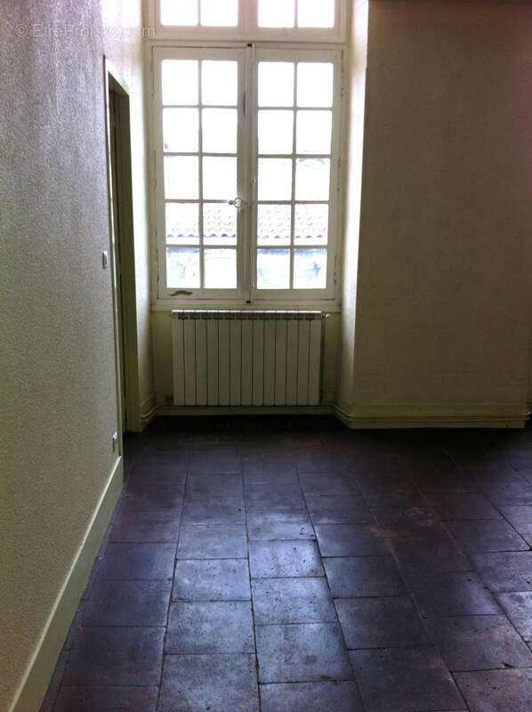 Montauban hypercentre, rue piétonne - photo 3