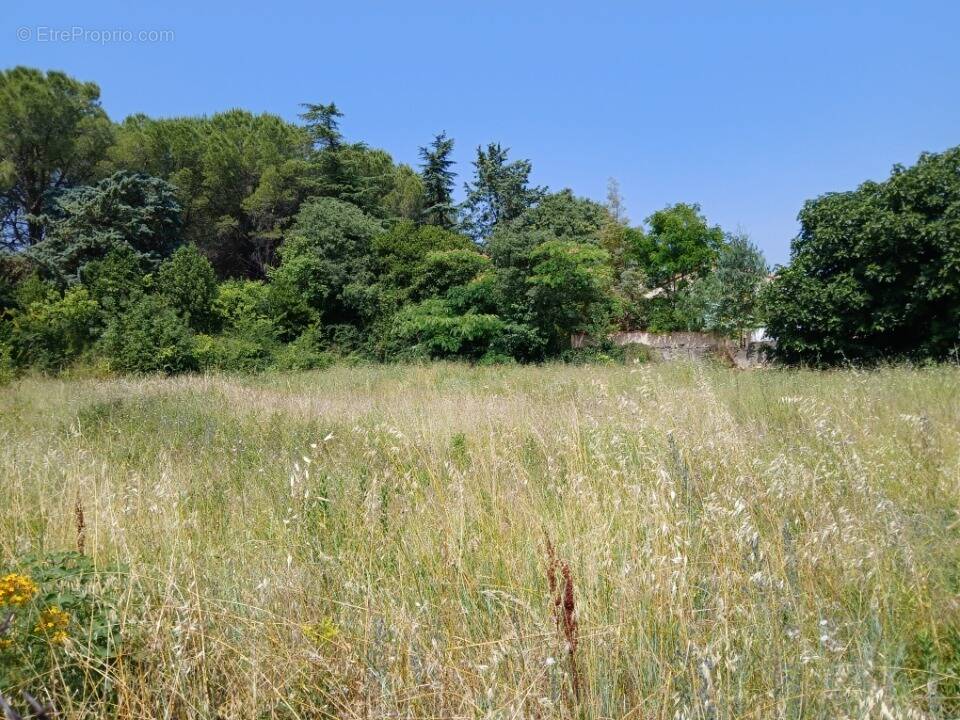 Photo Terrain à Saint-Genies-Des-Mourgues au prix de 210 000€