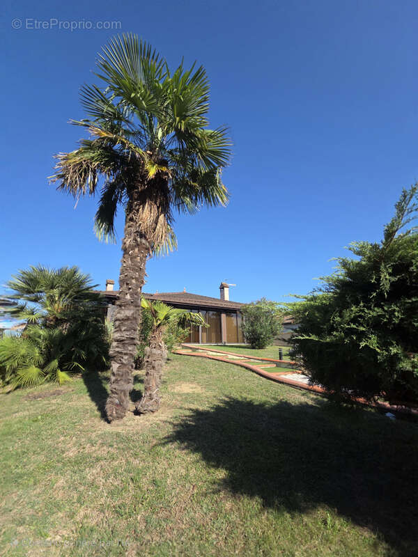 Maison à CASTELGINEST