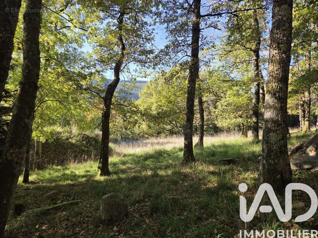 Photo 6 - Maison à CROZE