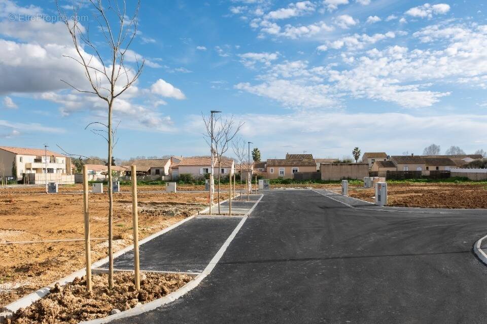 Terrain à LE CAILAR