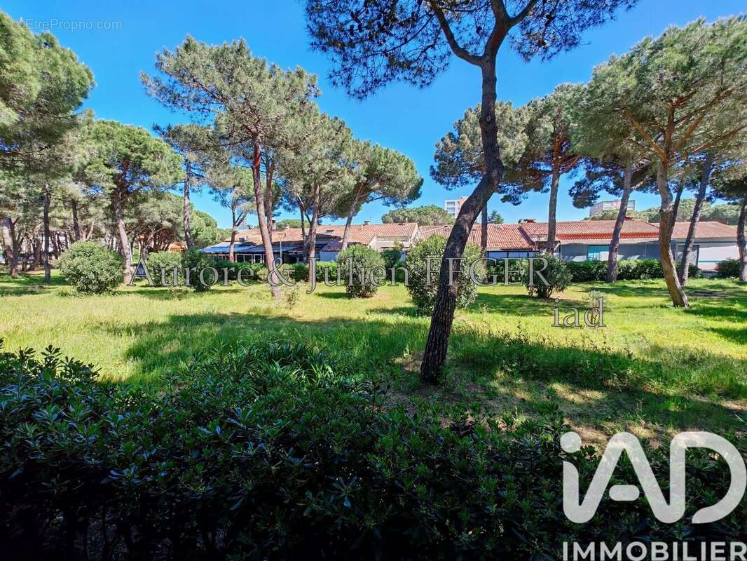 Photo 7 - Appartement à ARGELES-SUR-MER