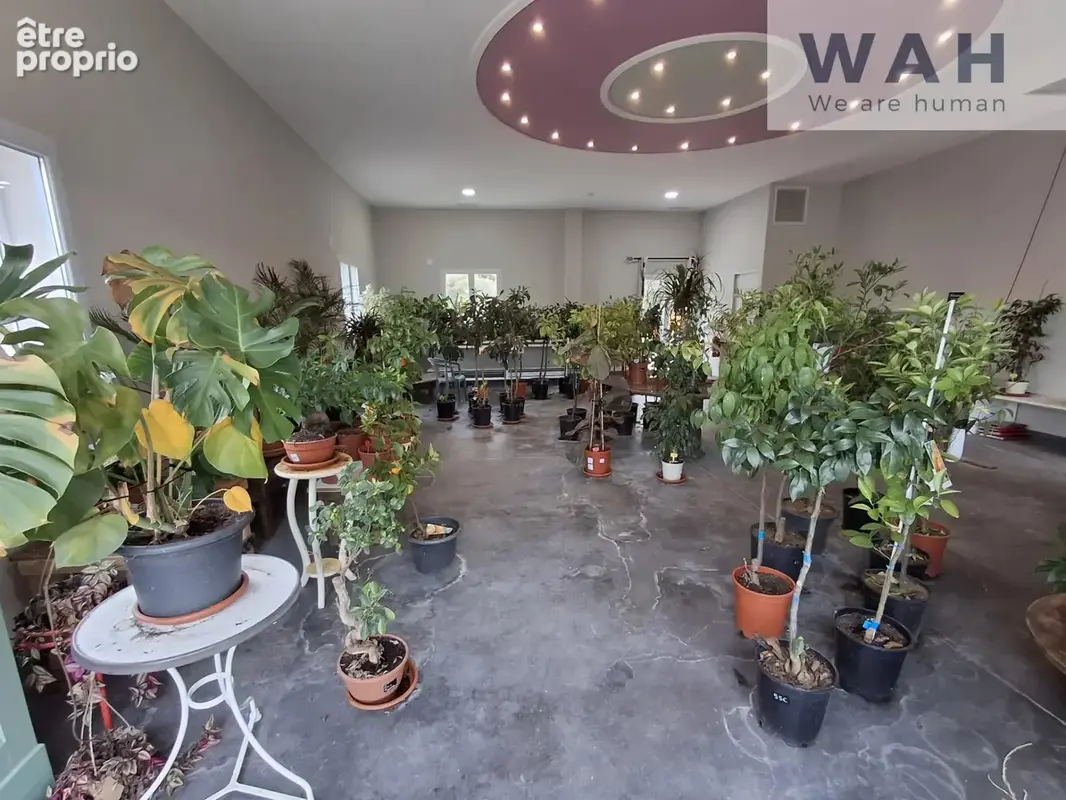 Local commercial - 240m2 - Sauve - photo 16